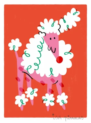 Caniche