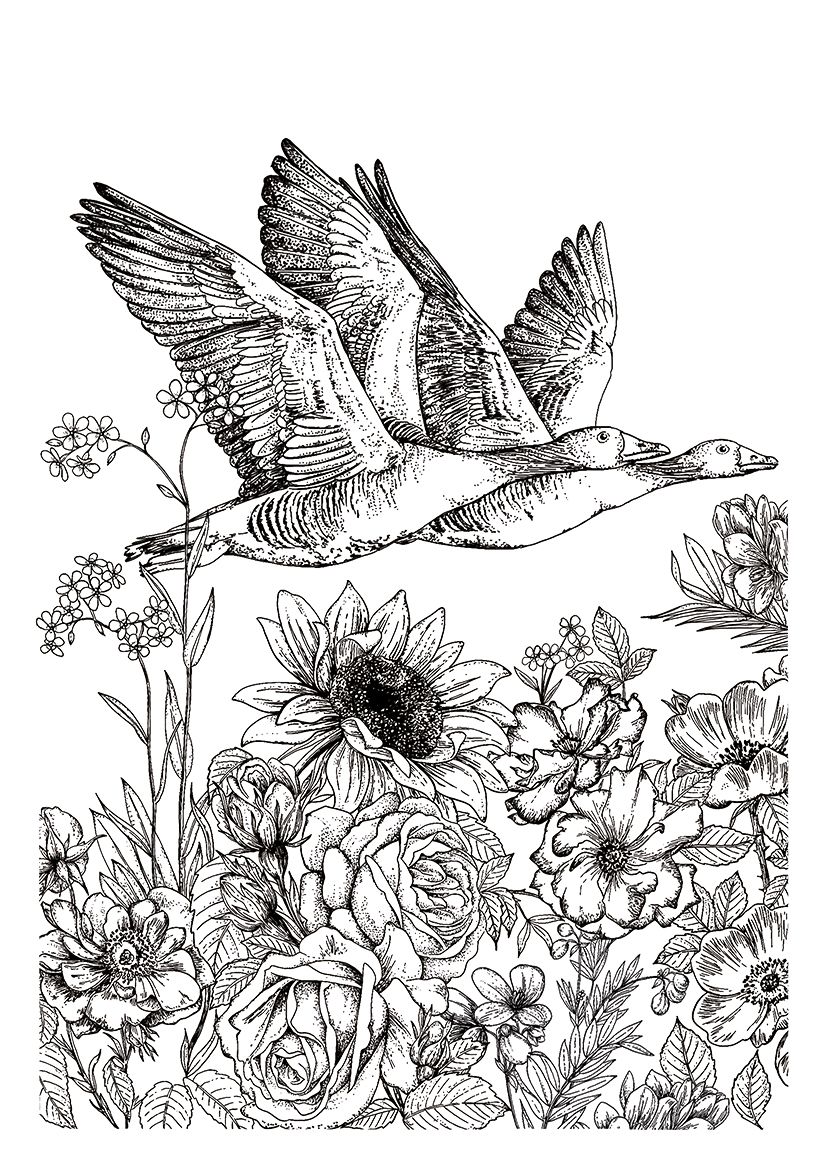 Flowery World