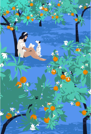 Reader II