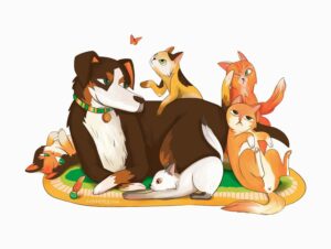 Perro y gatos