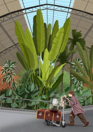 Harry Potter - Atocha