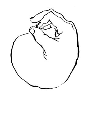 Bolamano
