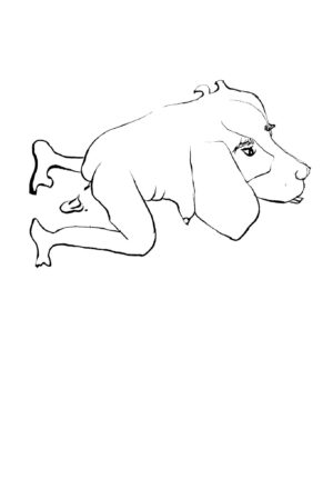 Perra
