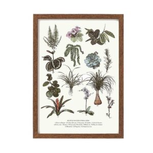 Safe Plants