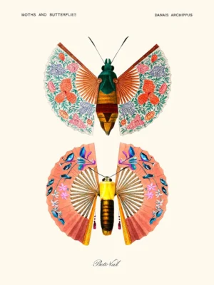 Flamenco butterfly