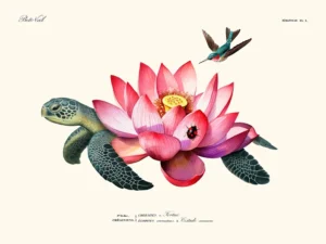 Turtle flower