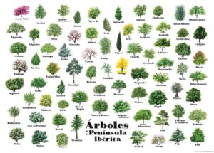 Árboles de la Península