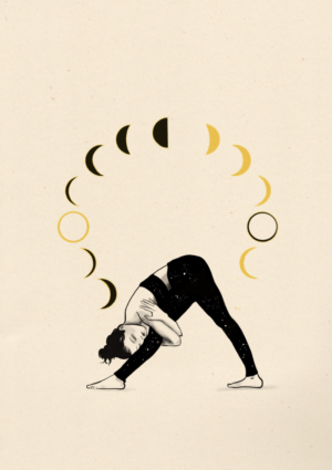 Fases de la luna
