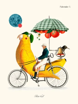 Bird_Cycle_beto_val_artistas_del_barrio.webp