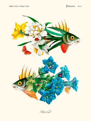 flower_fish_beto_val_artistas_del_barrio.webp