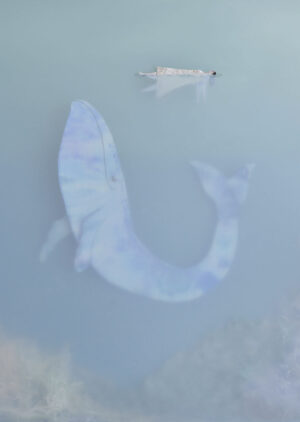 whale_sonia_alins.jpg